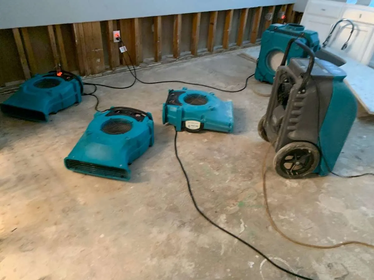 Water Damage Restoration services in Newark, CA